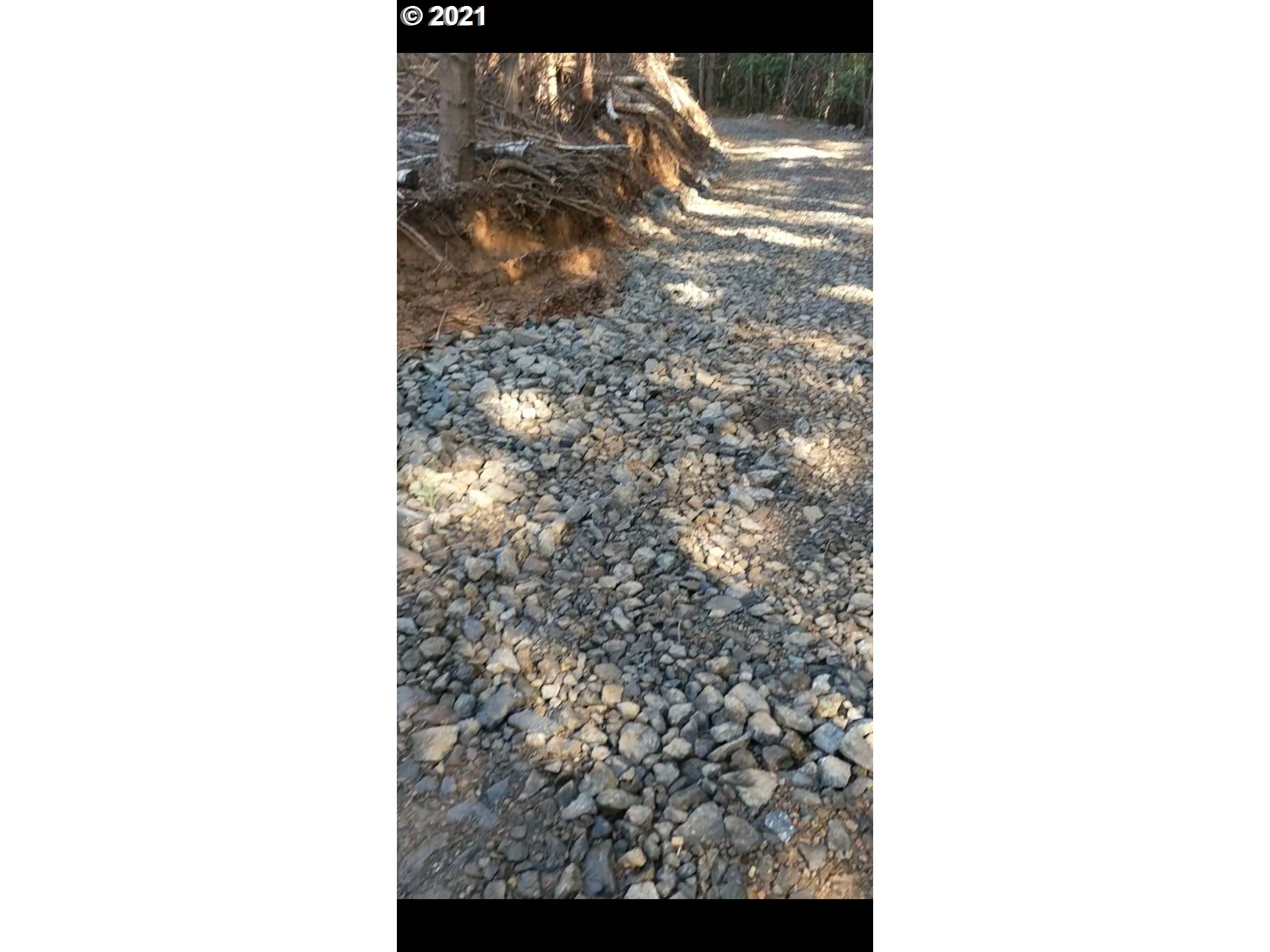 Cedar Valley Gold Beach, OR 97444 - Photo 6 of 9