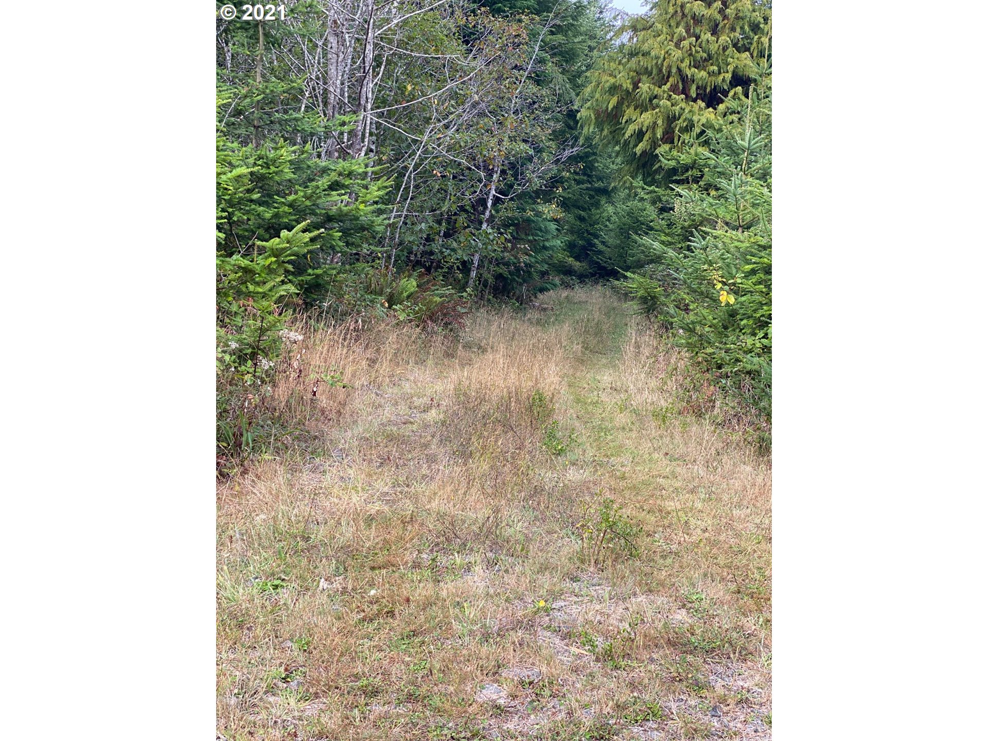 Cedar Valley Gold Beach, OR 97444 - Photo 8 of 9