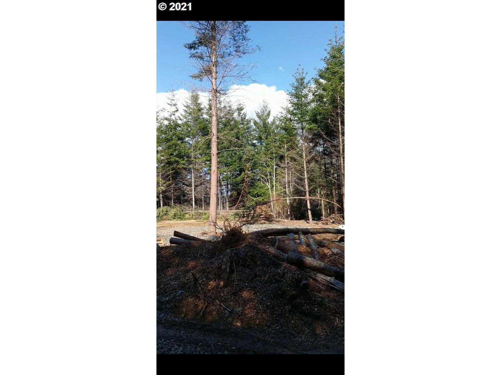 Cedar Valley Gold Beach, OR 97444 - Photo 9 of 9