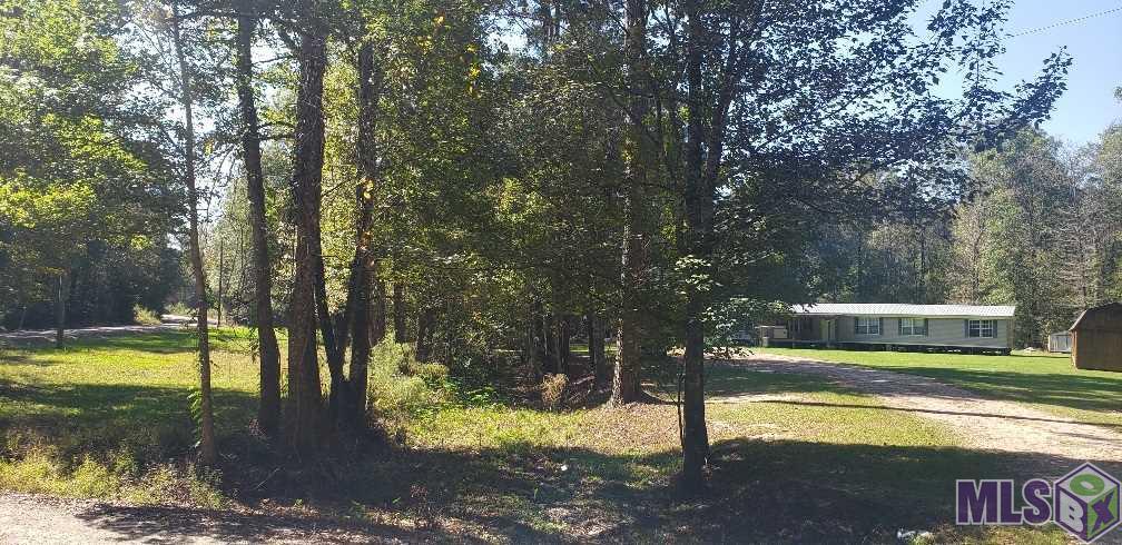 37675 Joe Lee Road Walker, LA 70785 - Photo 12 of 18