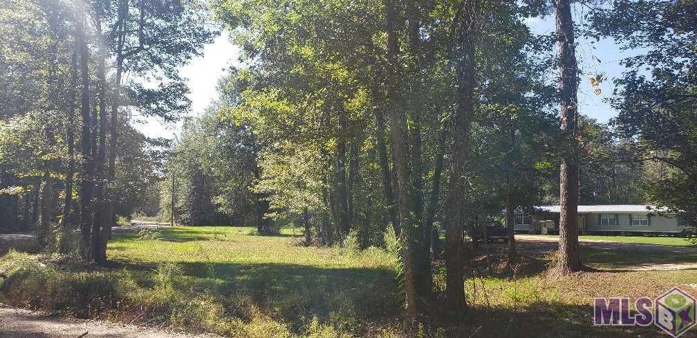 37675 Joe Lee Road Walker, LA 70785 - Photo 13 of 18