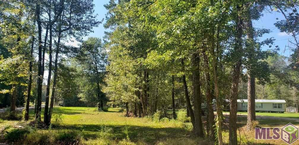 37675 Joe Lee Road Walker, LA 70785 - Photo 9 of 18
