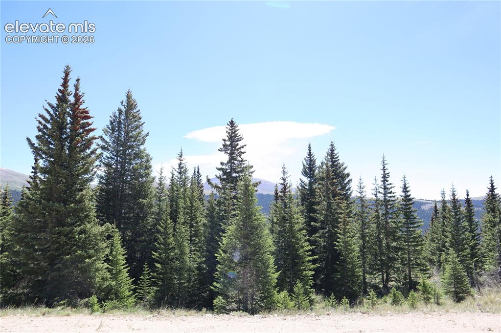 1480 Roberts Road Alma, CO 80420 - Photo 8 of 26