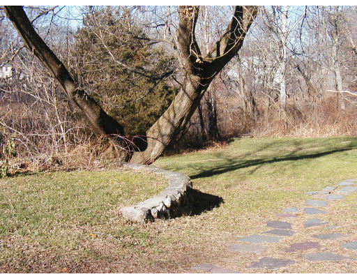 70 Higley Road Ashland, MA 01721 - Photo 1 of 2 a view of a yard with a tree