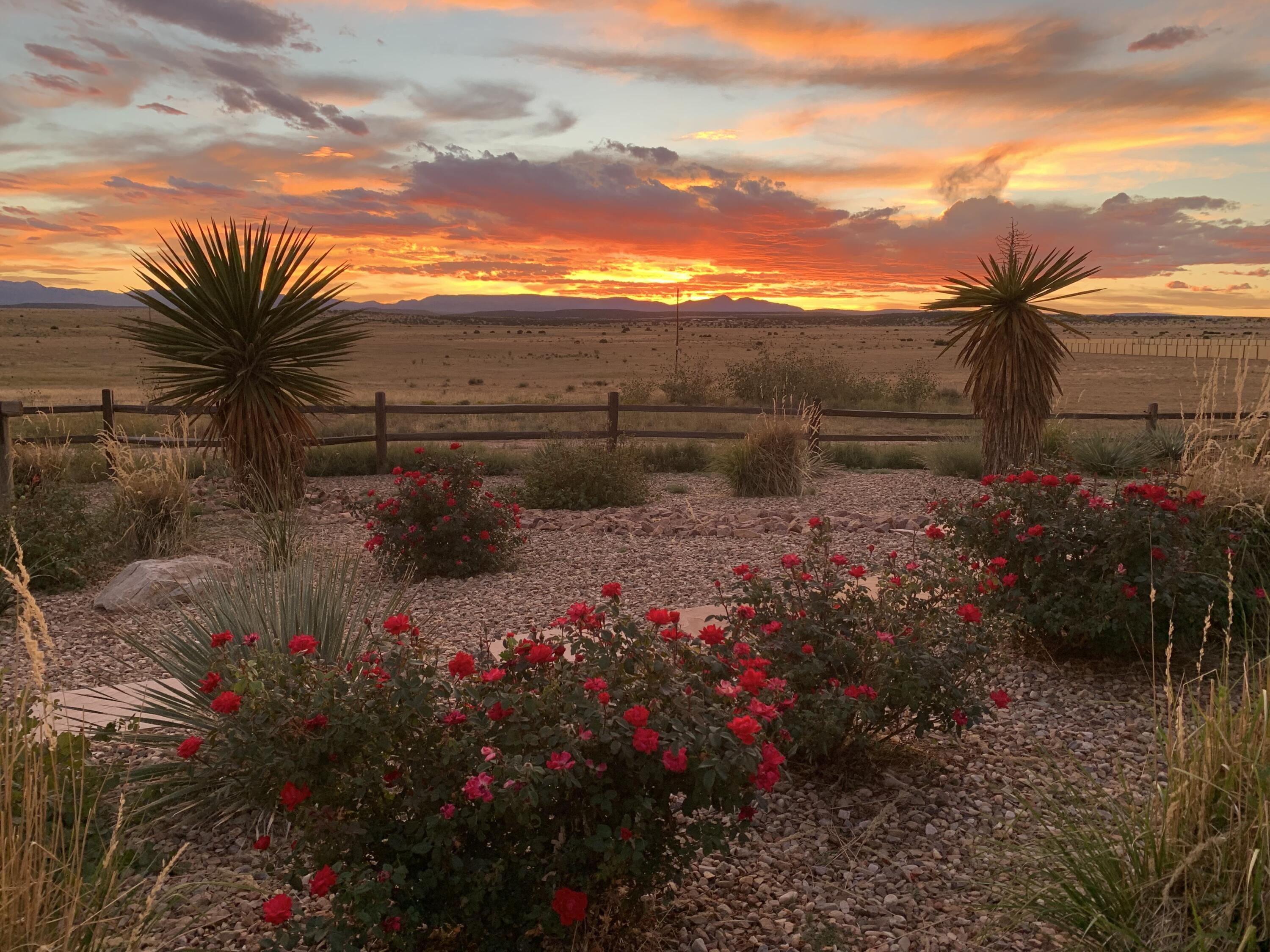 414 Peacock Road Estancia, NM 87016 - Photo 81 of 115 Gallery Image 81