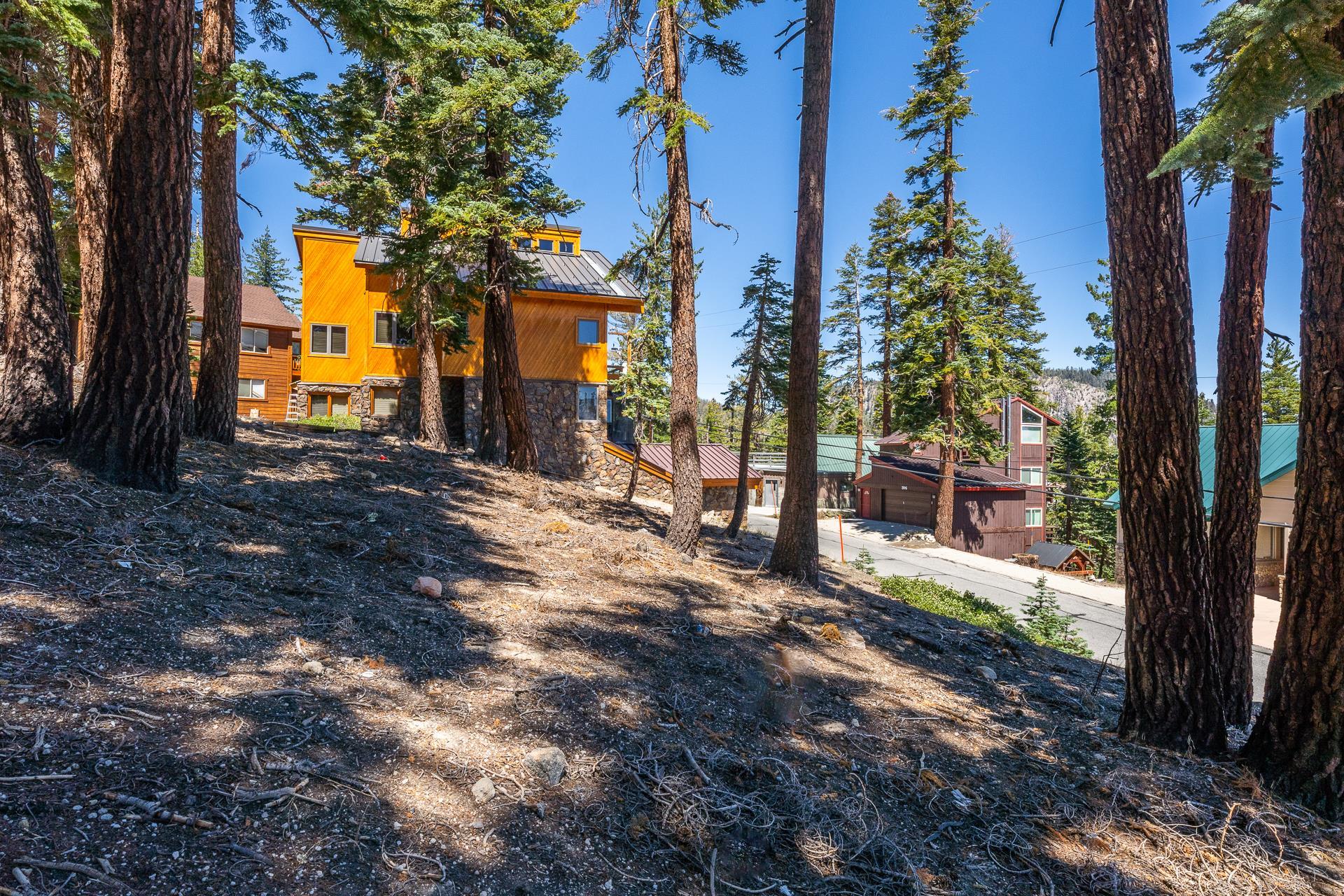 381 John Muir Road Mammoth Lakes, CA 93546 - Photo 11 of 23 a view of a house with a tree in the yard