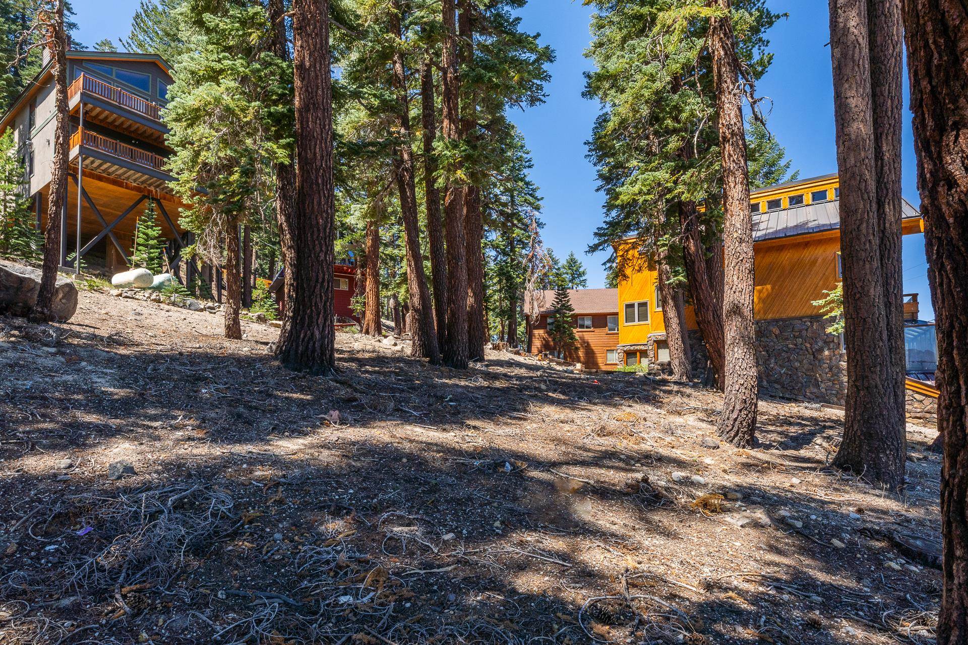 381 John Muir Road Mammoth Lakes, CA 93546 - Photo 12 of 23 a view of a park with tree s