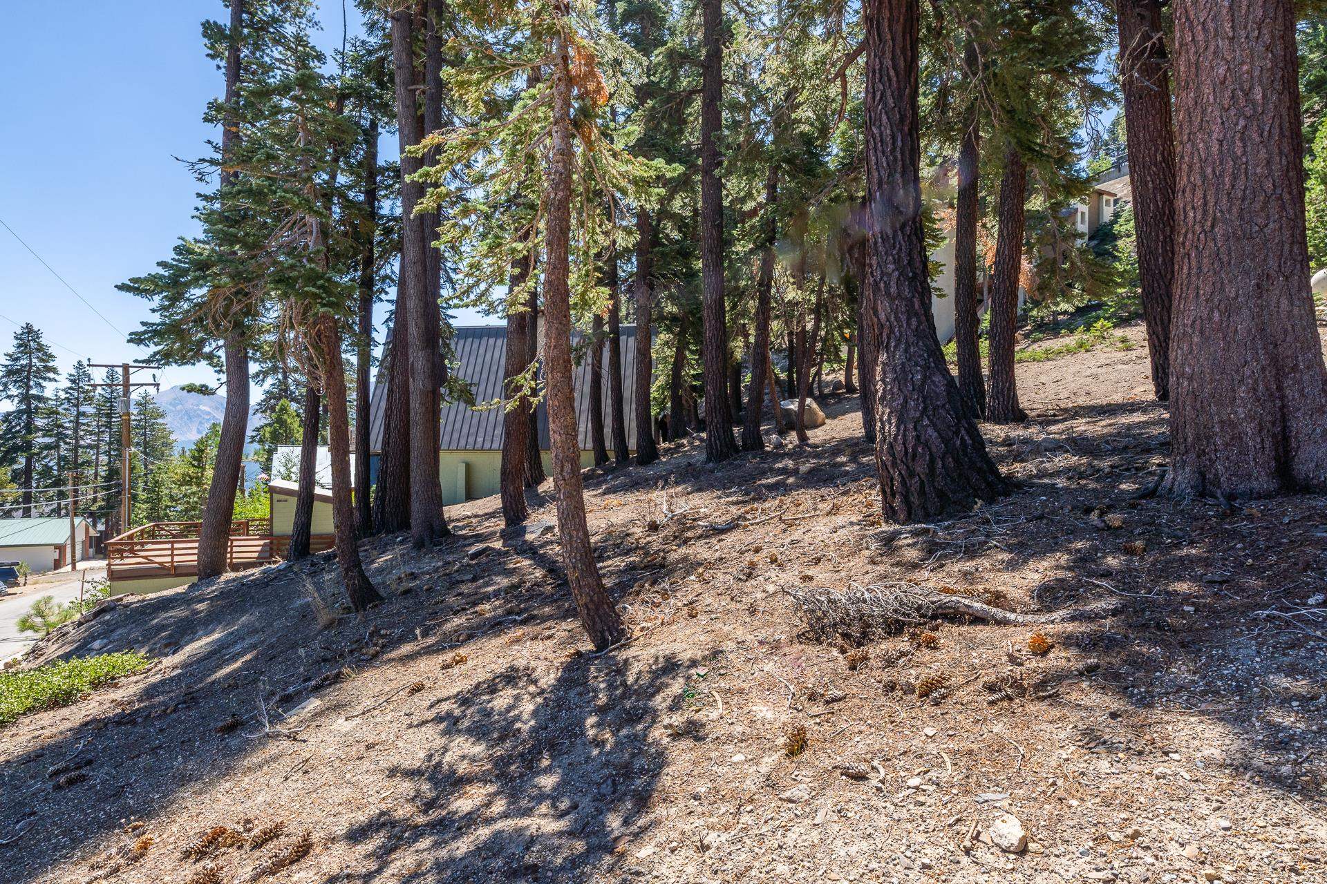 381 John Muir Road Mammoth Lakes, CA 93546 - Photo 13 of 23 a backyard of a house with lots of green space