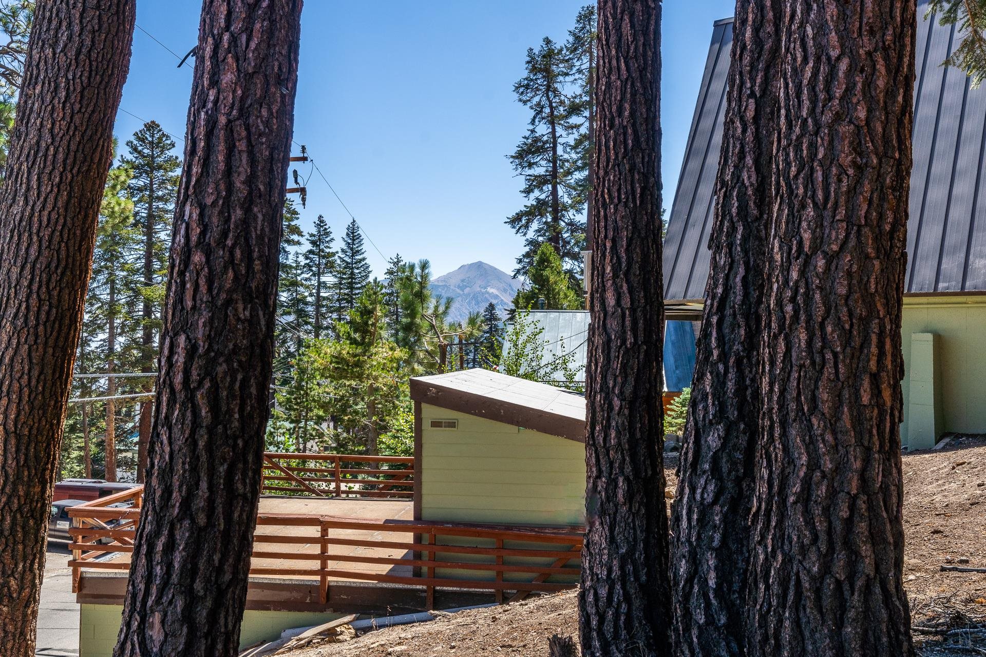 381 John Muir Road Mammoth Lakes, CA 93546 - Photo 19 of 23