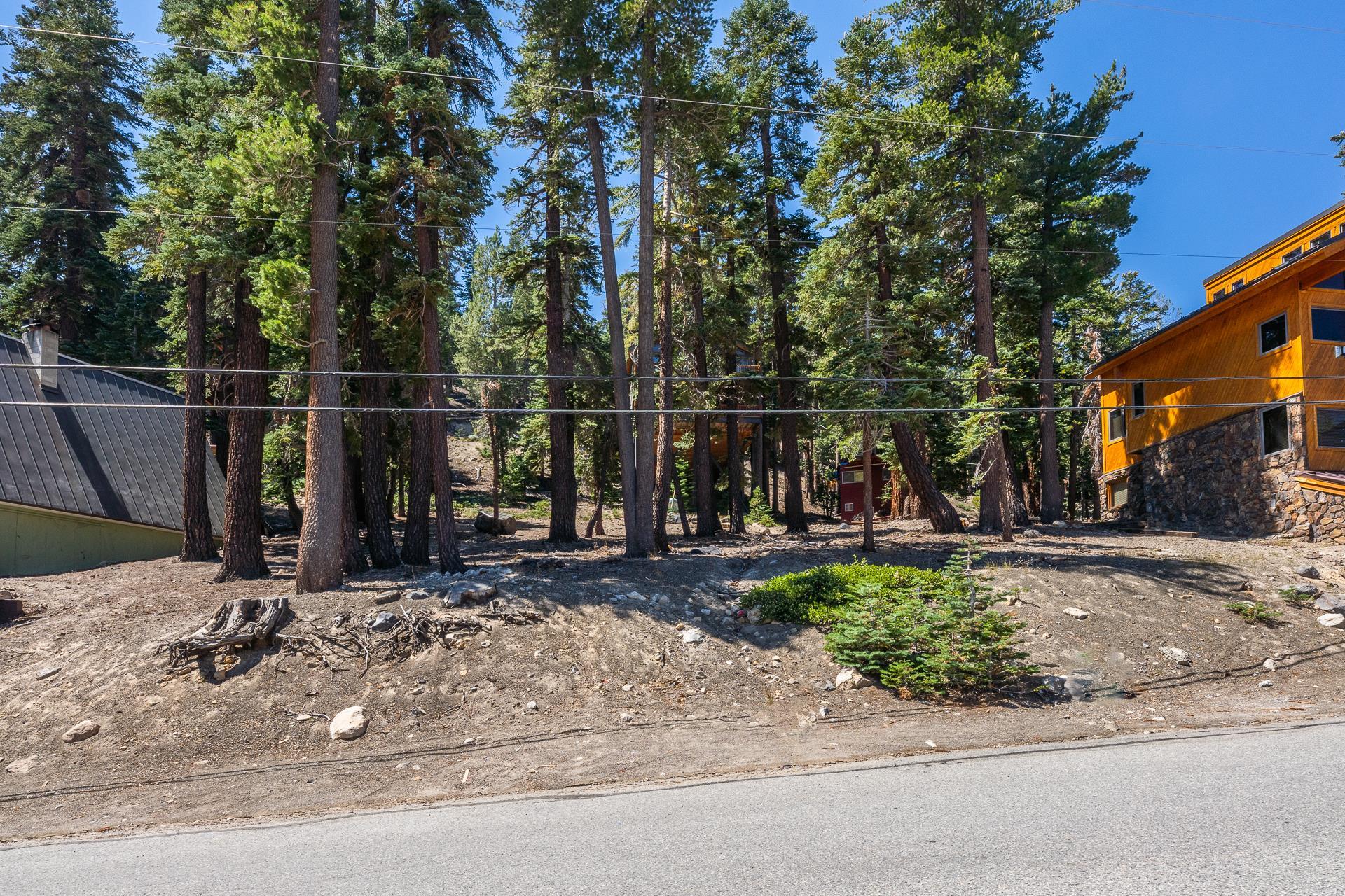 381 John Muir Road Mammoth Lakes, CA 93546 - Photo 5 of 23 a backyard of a house with barbeque oven and palm trees
