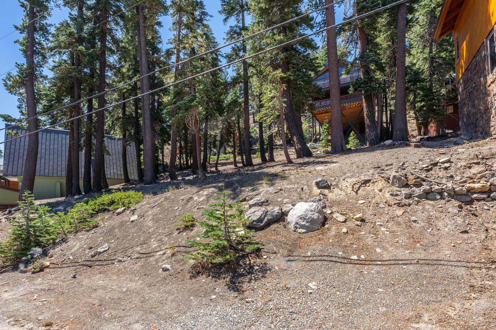 381 John Muir Road Mammoth Lakes, CA 93546 - Photo 6 of 23 a view of a backyard with large trees