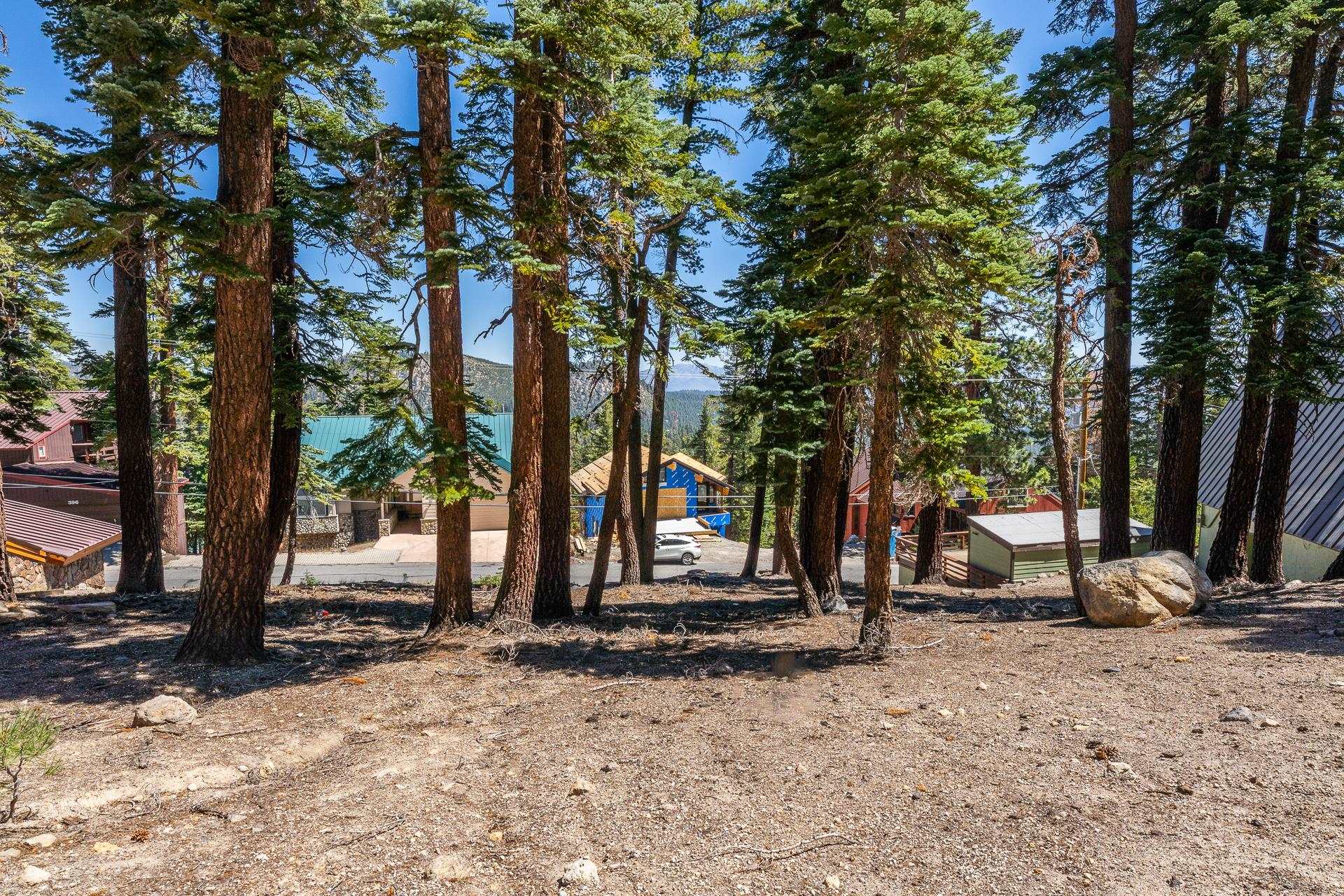 381 John Muir Road Mammoth Lakes, CA 93546 - Photo 7 of 23 a view of outdoor space with sink