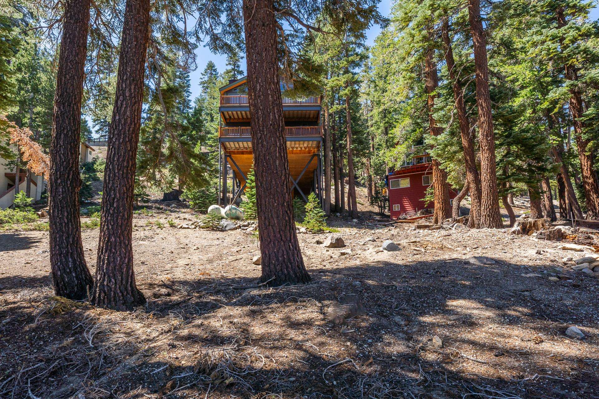 381 John Muir Road Mammoth Lakes, CA 93546 - Photo 8 of 23 a view of a tree in front of a house