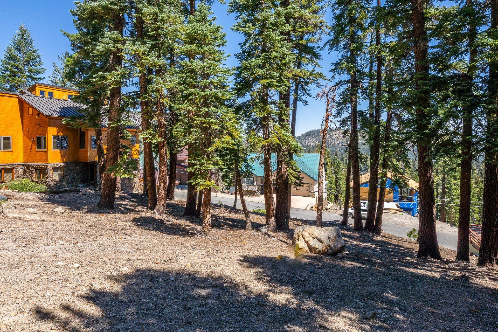 381 John Muir Road Mammoth Lakes, CA 93546 - Photo 9 of 23 a view of a park with tree s