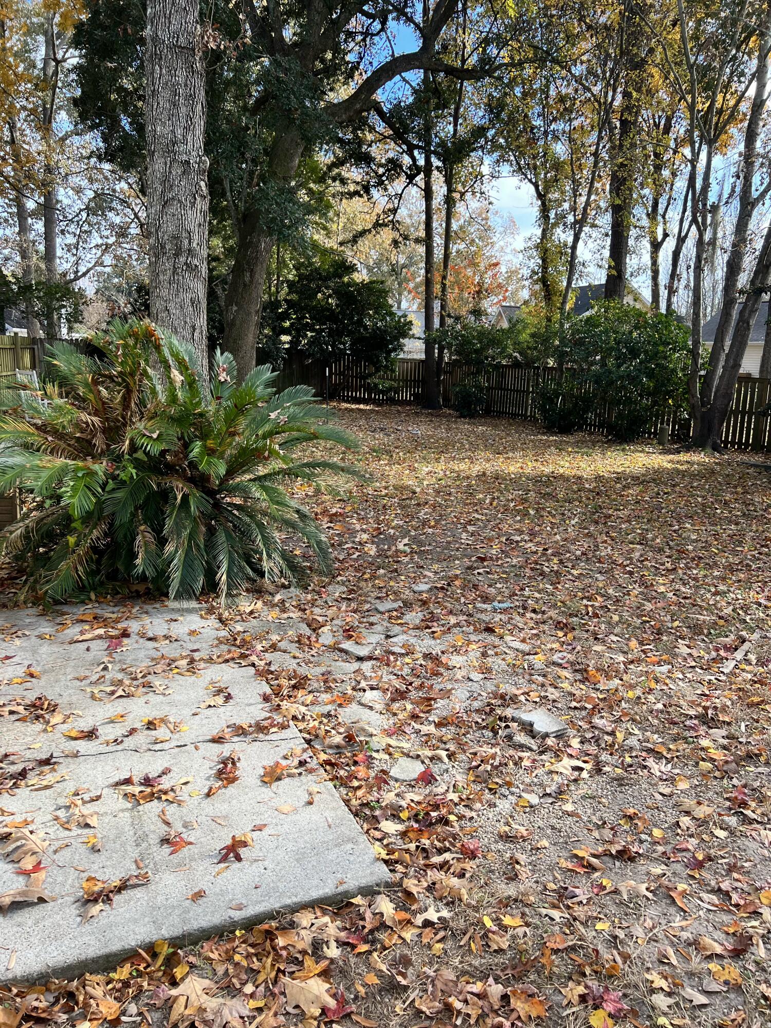8341 Longridge Road North Charleston, SC 29418 - Photo 24 of 25 IMG_9148
