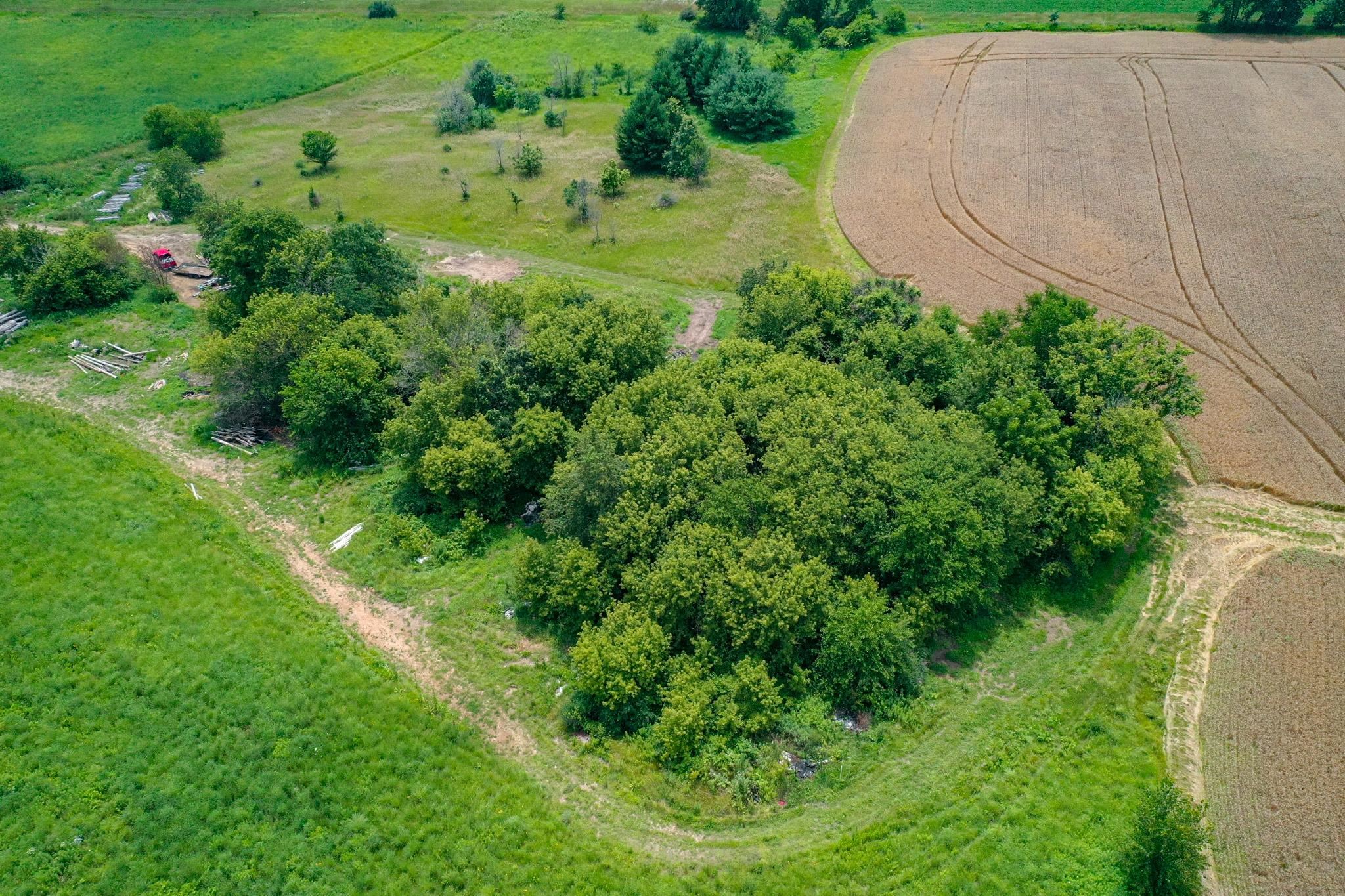 14578 Center Road Durand, IL 61024 - Photo 54 of 99 a lush green forest with lots of trees