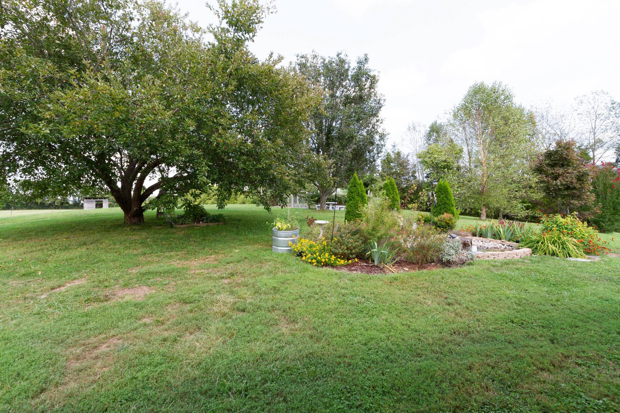665 County Line Road Watertown, TN 37184 - Photo 24 of 30