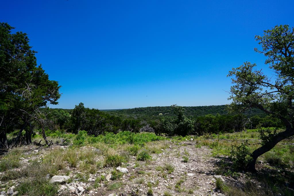 204 Wilson Ranch Road Hunt, TX 78024 - Photo 3 of 61 a view of outdoor space and yard