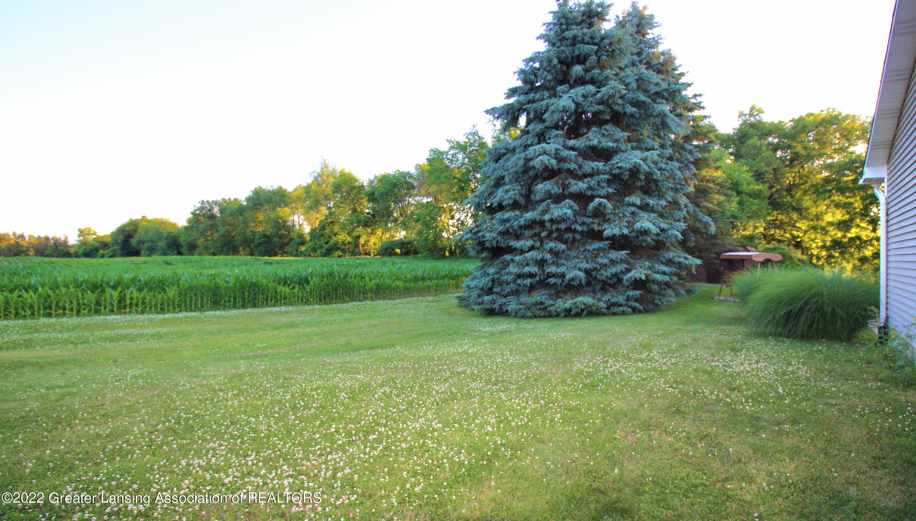 13444 Turner Road Dewitt, MI 48820 - Photo 10 of 54 10 SW view
