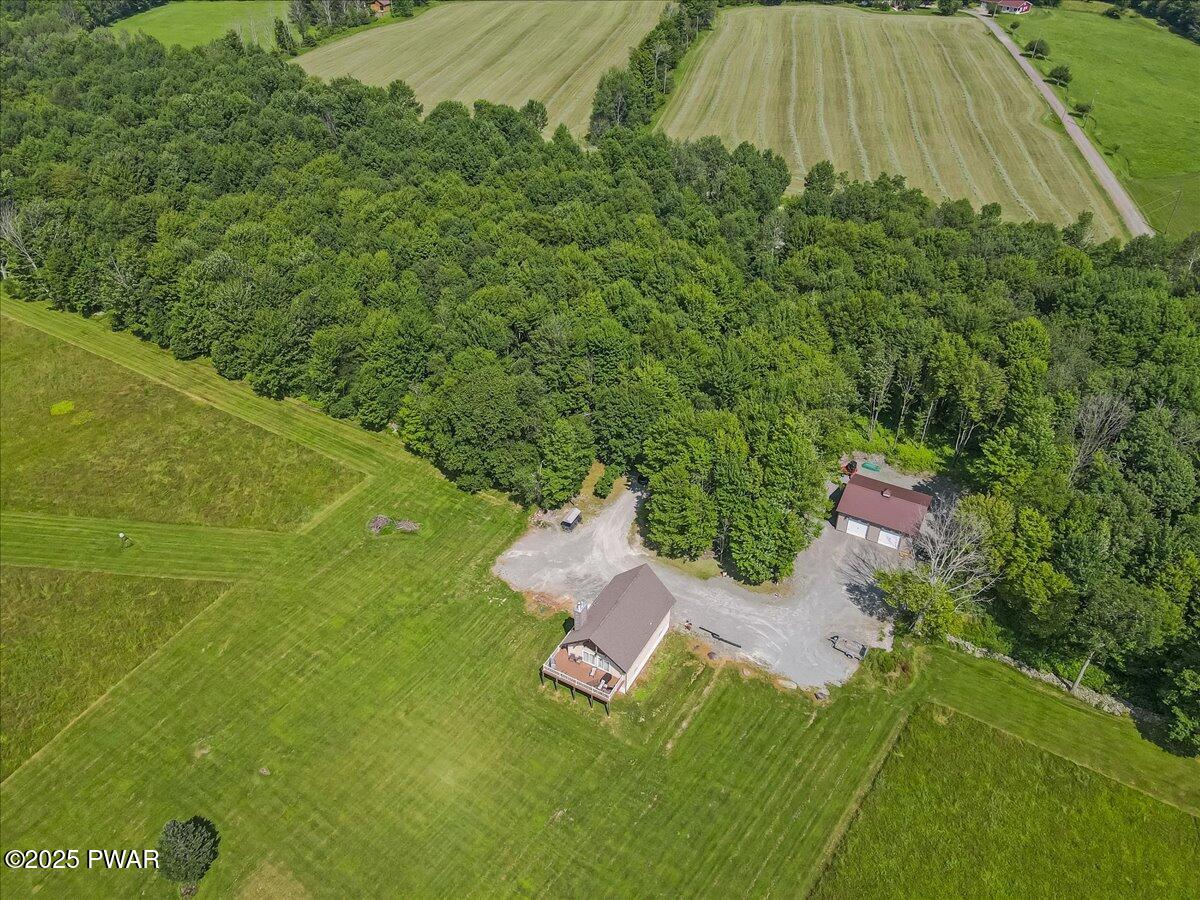 259 Ayoub Road Pleasant Mount, PA 18453 - Photo 126 of 144