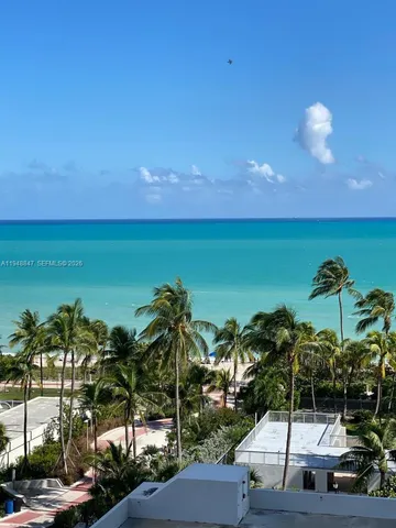 a view of a yard with palm trees