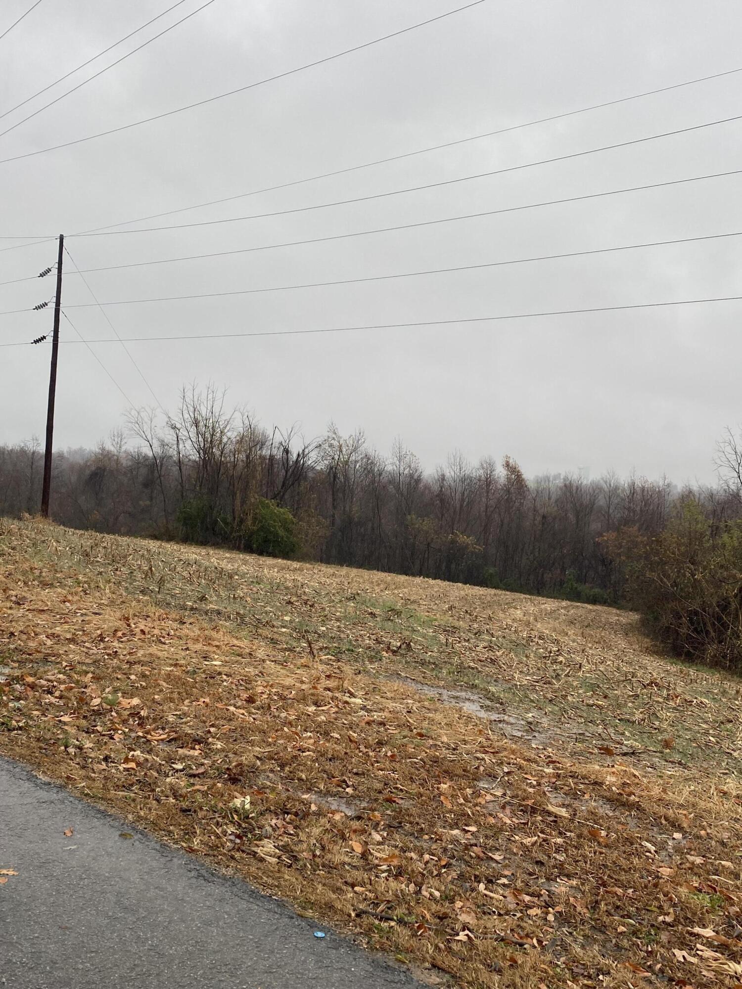 1265 Greasy Ridge Road Stanford, KY 40484 - Photo 11 of 16 m00GftPWSFijvne39jeyKg