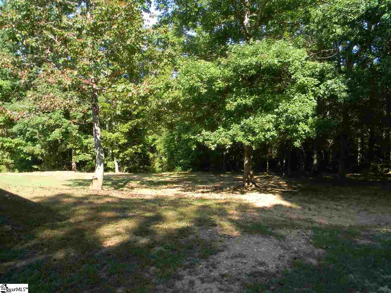 110 Thorn Ridge Lane Pelzer, SC 29669 - Photo 35 of 35