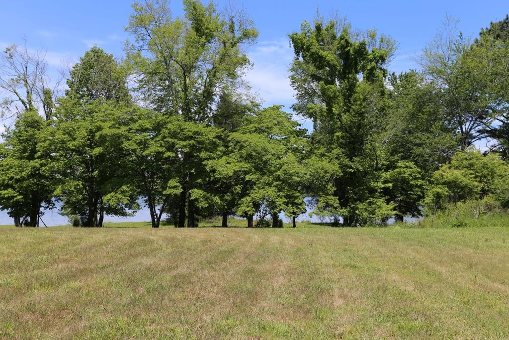 0 Blue Heron Lane Spring City, TN 37381 - Photo 18 of 32 Gallery Image 18