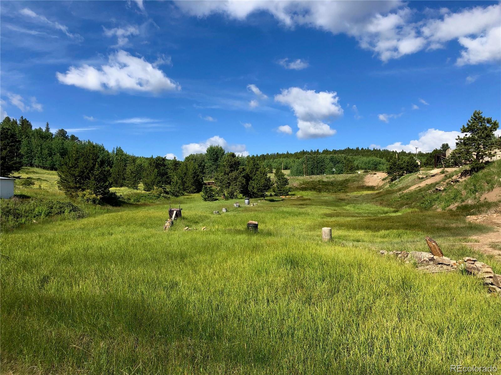 3 Virginia Canyon Road Central City, CO 80427 - Photo 14 of 18