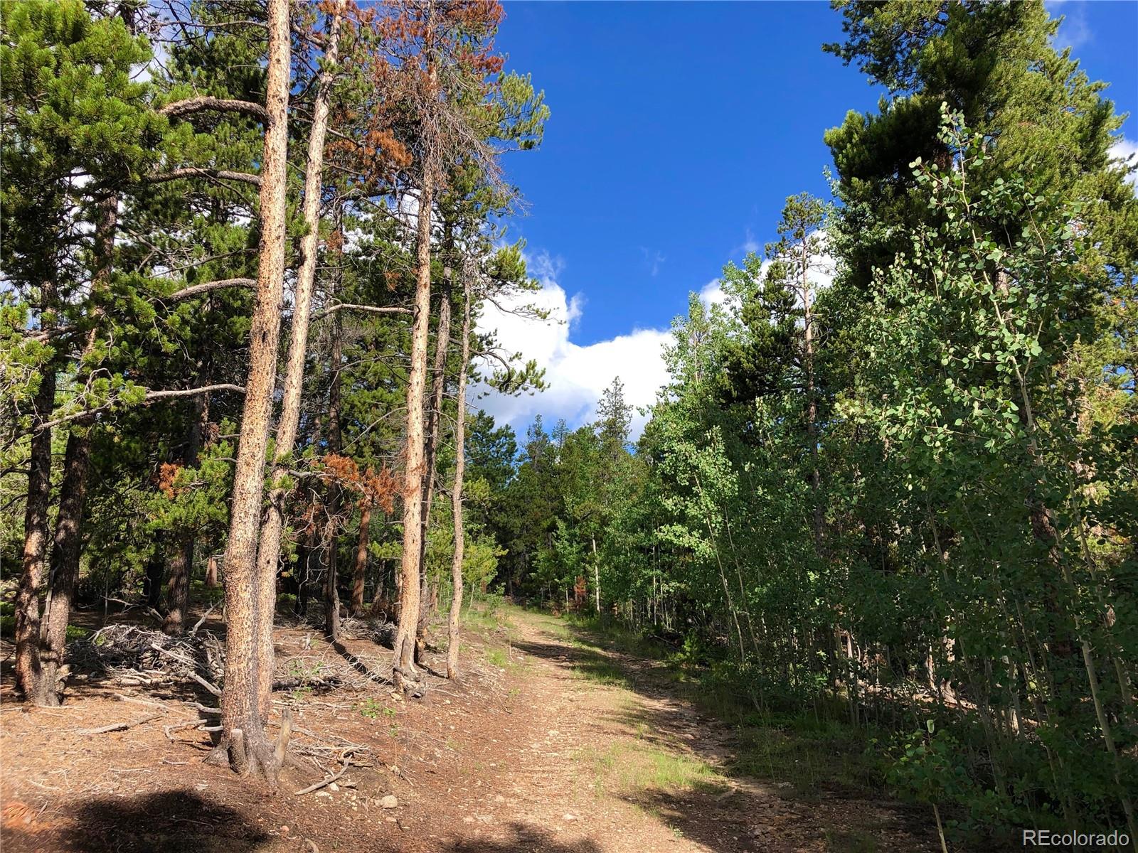 3 Virginia Canyon Road Central City, CO 80427 - Photo 6 of 18