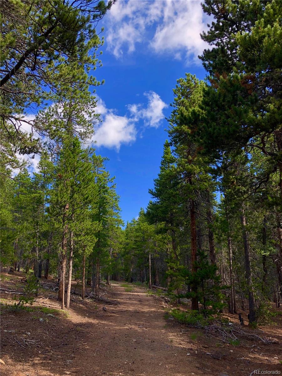 3 Virginia Canyon Road Central City, CO 80427 - Photo 8 of 18