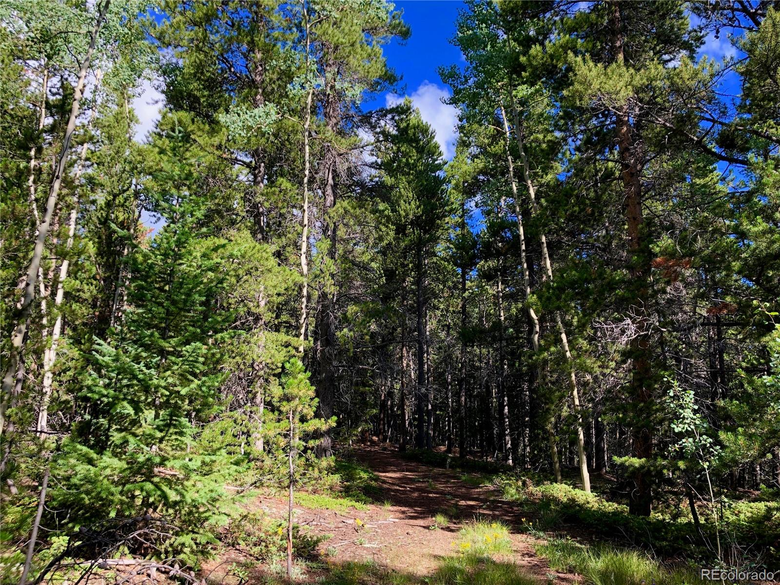 3 Virginia Canyon Road Central City, CO 80427 - Photo 9 of 18