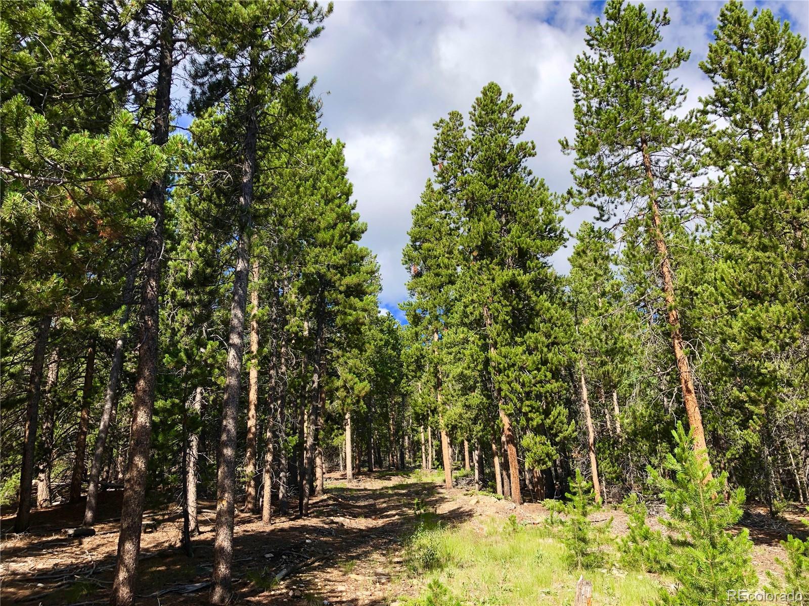 3 Virginia Canyon Road Central City, CO 80427 - Photo 10 of 18