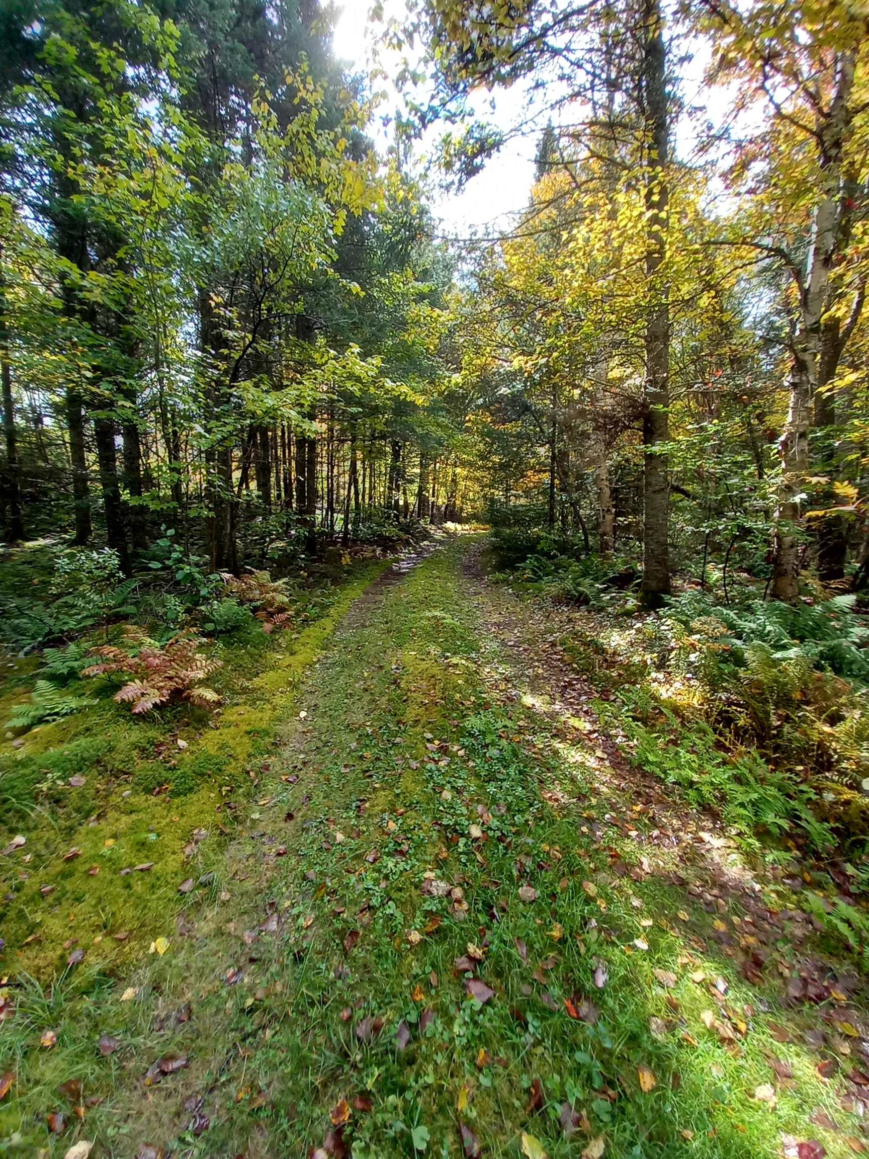 1063 Indian Stream Road Pittsburg, NH 03592 - Photo 8 of 14 Gallery Image 8