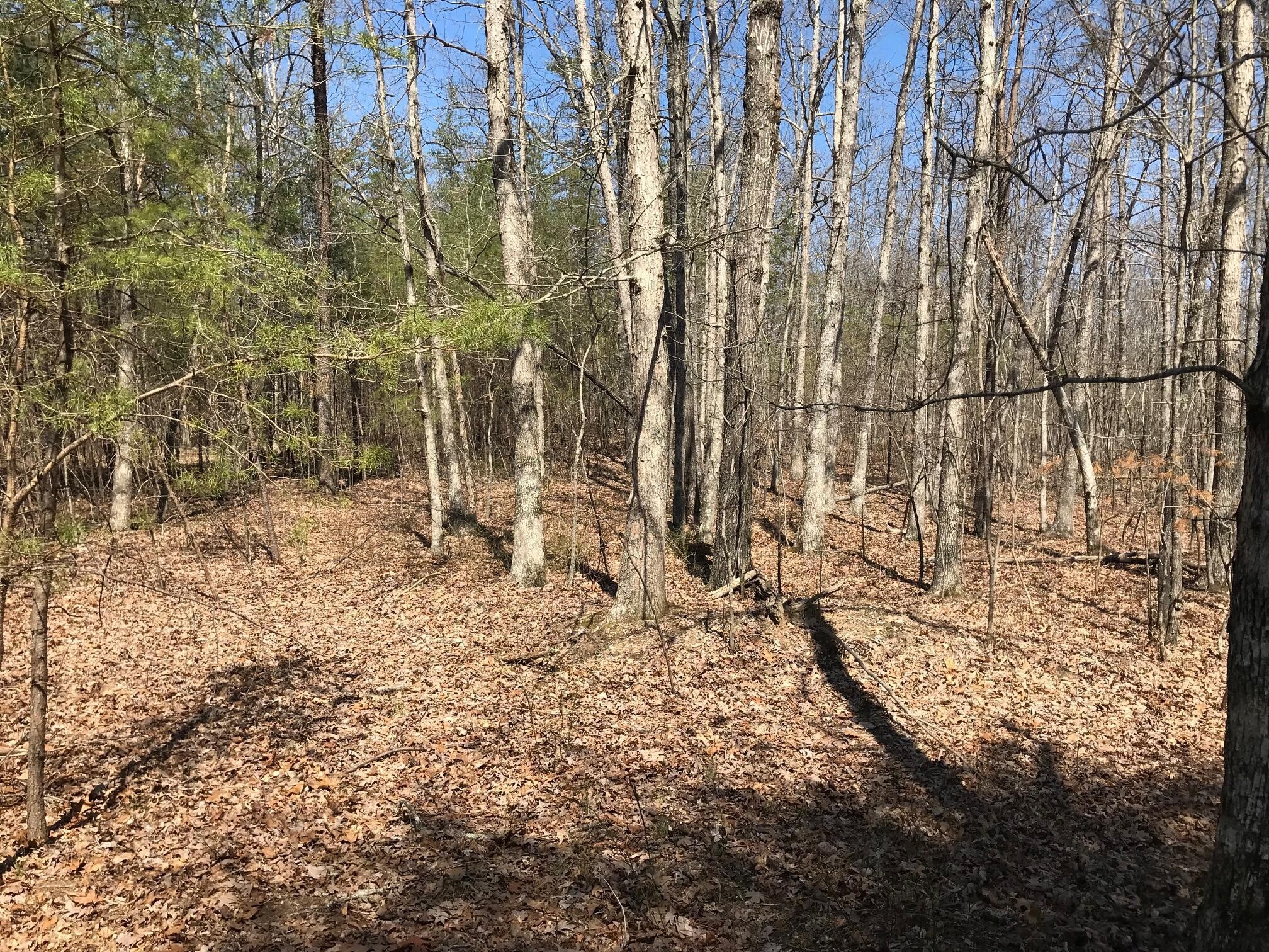 0 Greenfields Way North Dunlap, TN 37327 - Photo 14 of 26