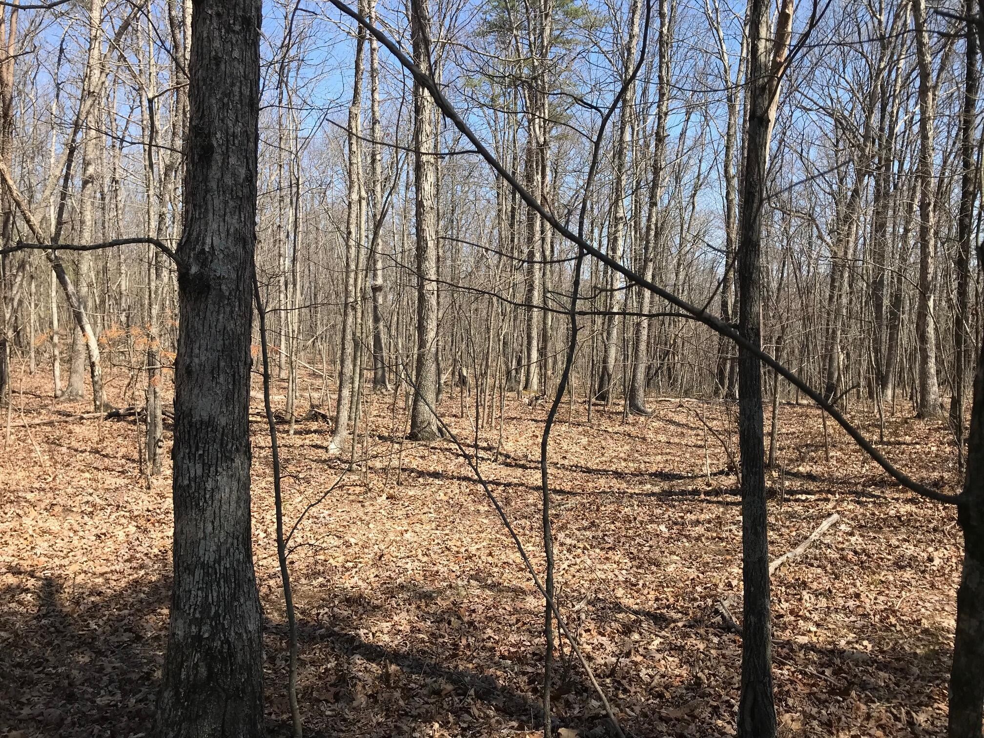 0 Greenfields Way North Dunlap, TN 37327 - Photo 15 of 26