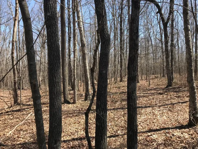 a view of a outdoor space