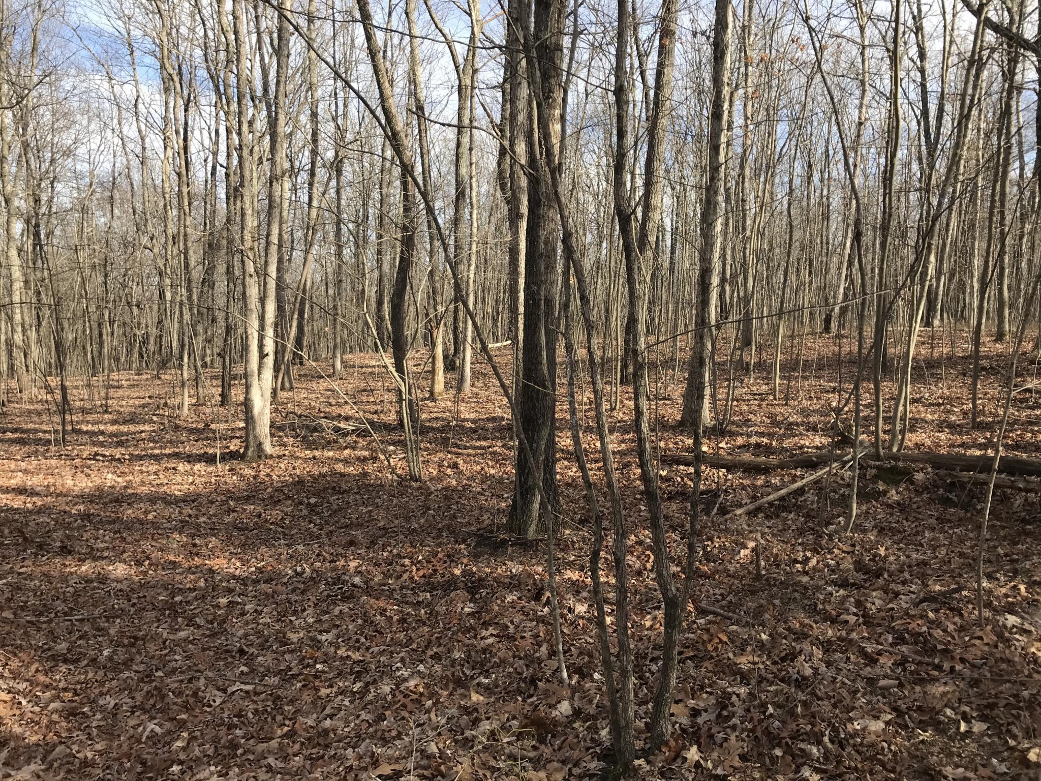 0 Greenfields Way North Dunlap, TN 37327 - Photo 2 of 26