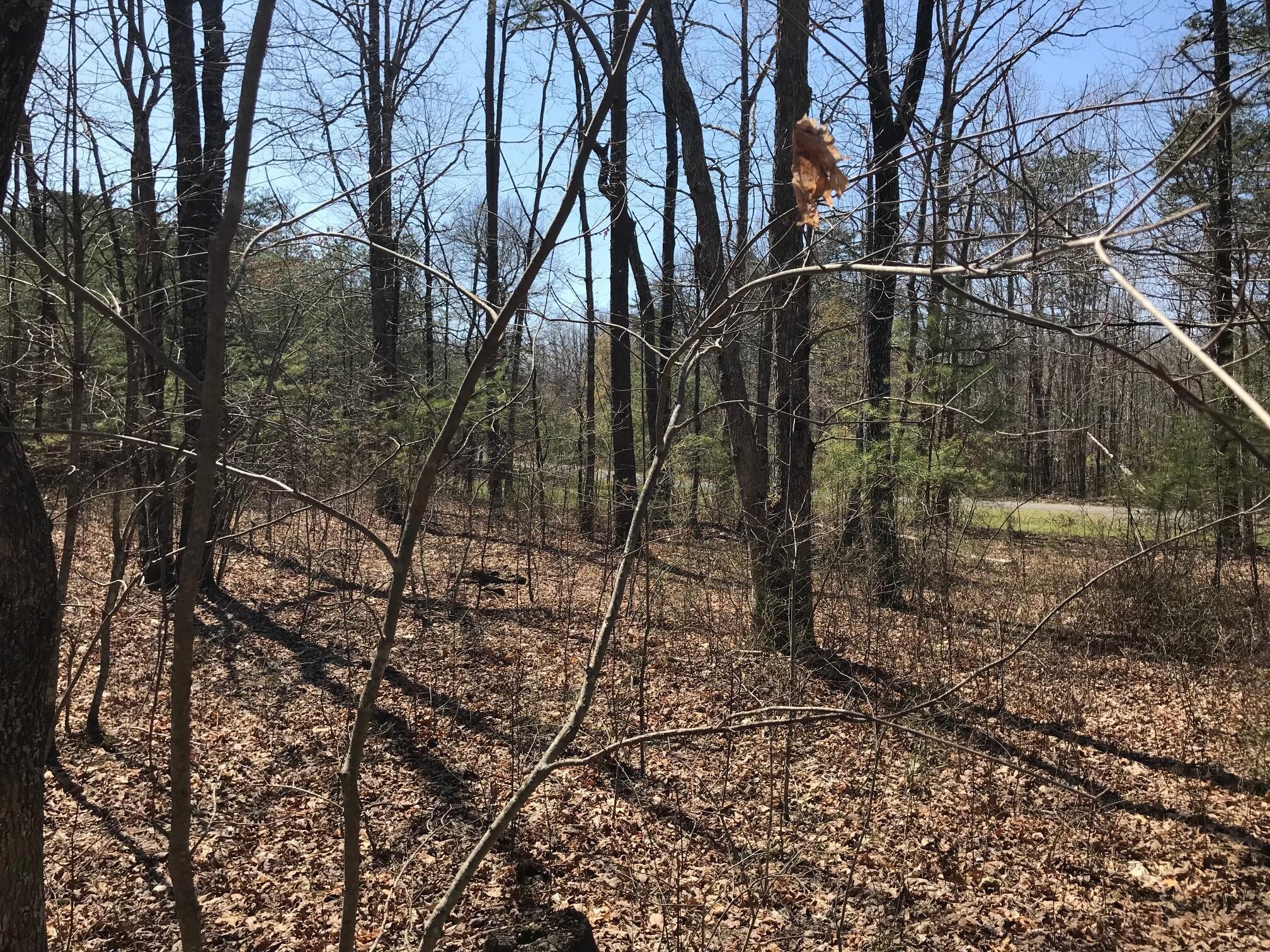 0 Greenfields Way North Dunlap, TN 37327 - Photo 24 of 26