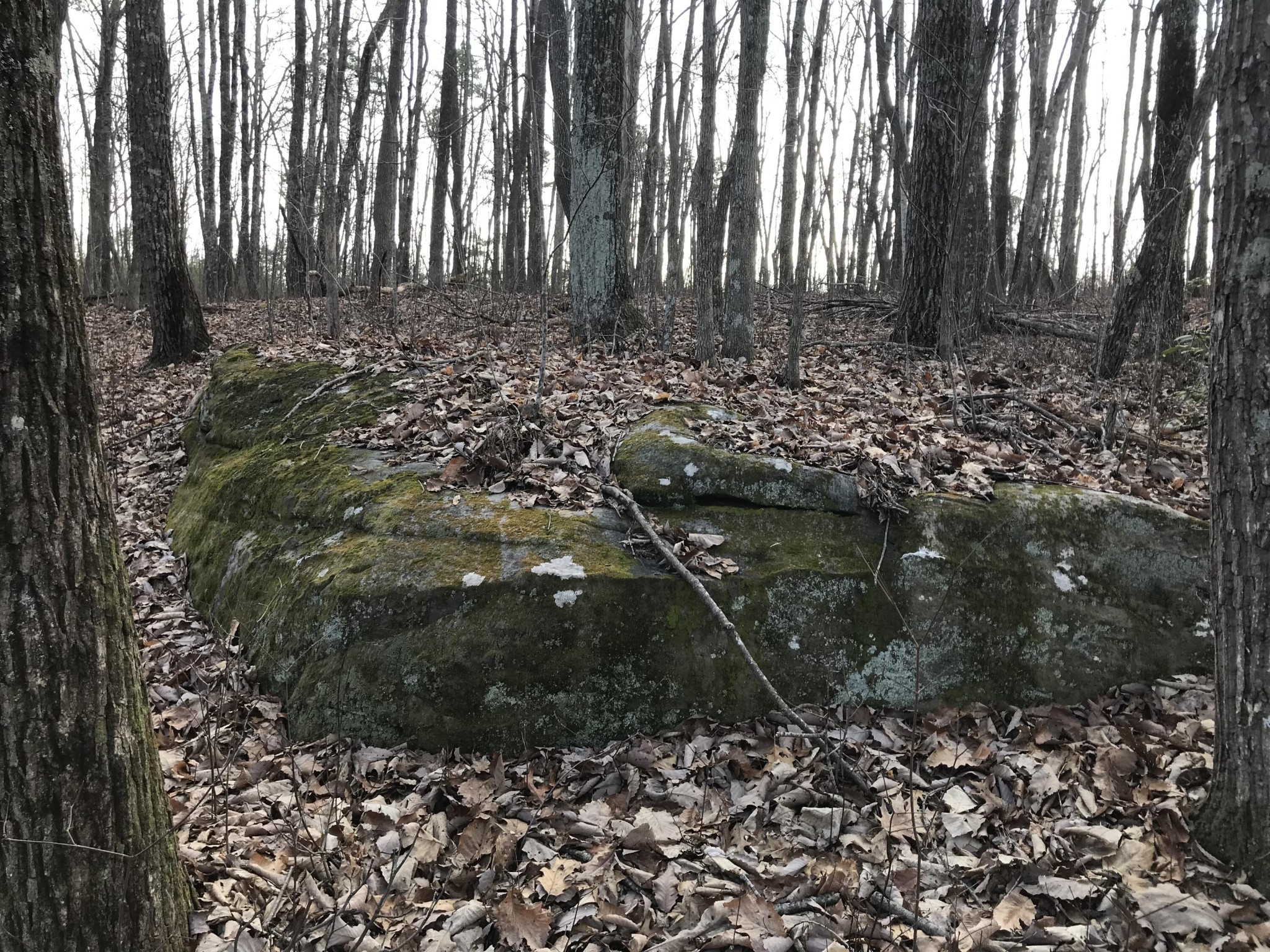 0 Greenfields Way North Dunlap, TN 37327 - Photo 10 of 26