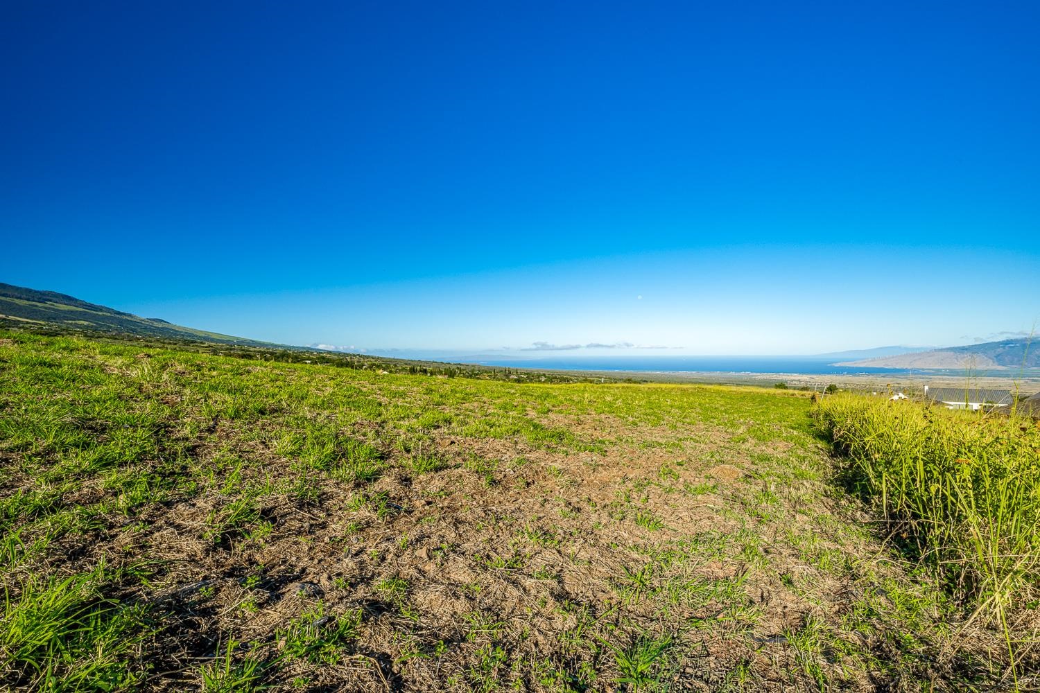 240 Kula Io Road Kula, HI 96790 - Photo 6 of 26