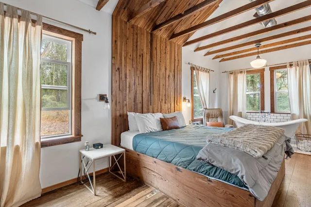 a view of a yard with plants and trees