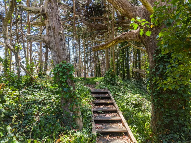 $1,575,000 | 865 New Navy Base Road, Samoa, CA 95564