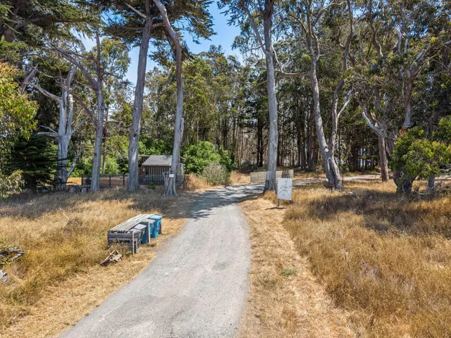 a living room with a couch and wooden floor