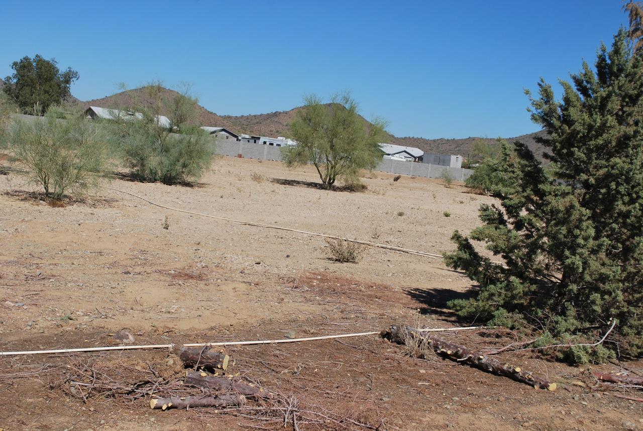 1650 West Parsons Road Phoenix, AZ 85085 - Photo 3 of 7 3