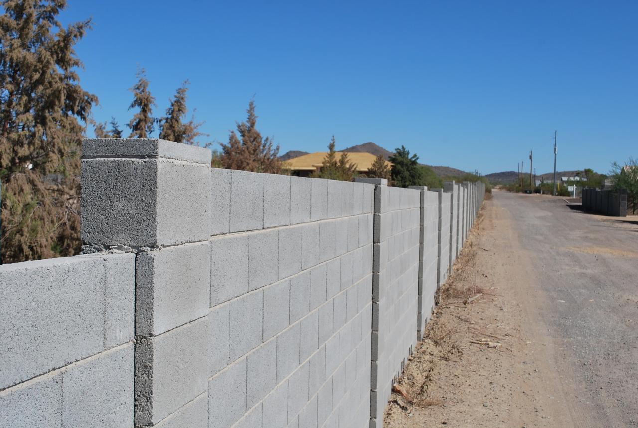 1650 West Parsons Road Phoenix, AZ 85085 - Photo 4 of 7 4