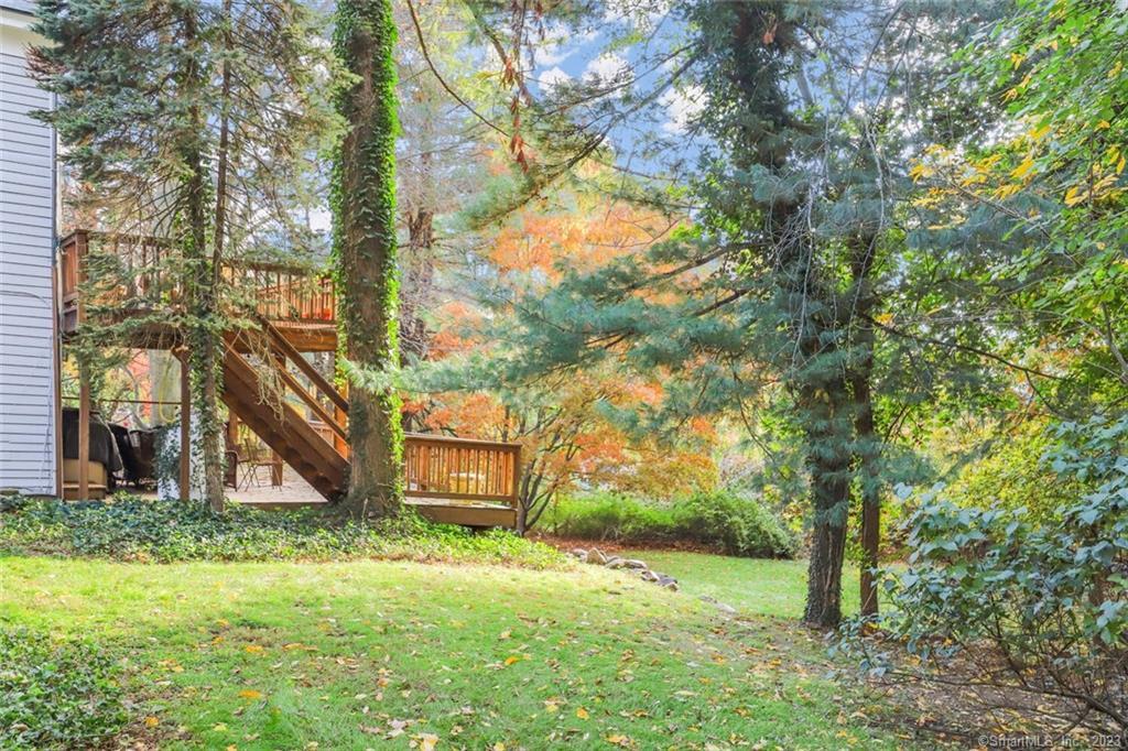 49 Hollow Tree Ridge Road Darien, CT 06820 - Photo 21 of 25 Rear Yard