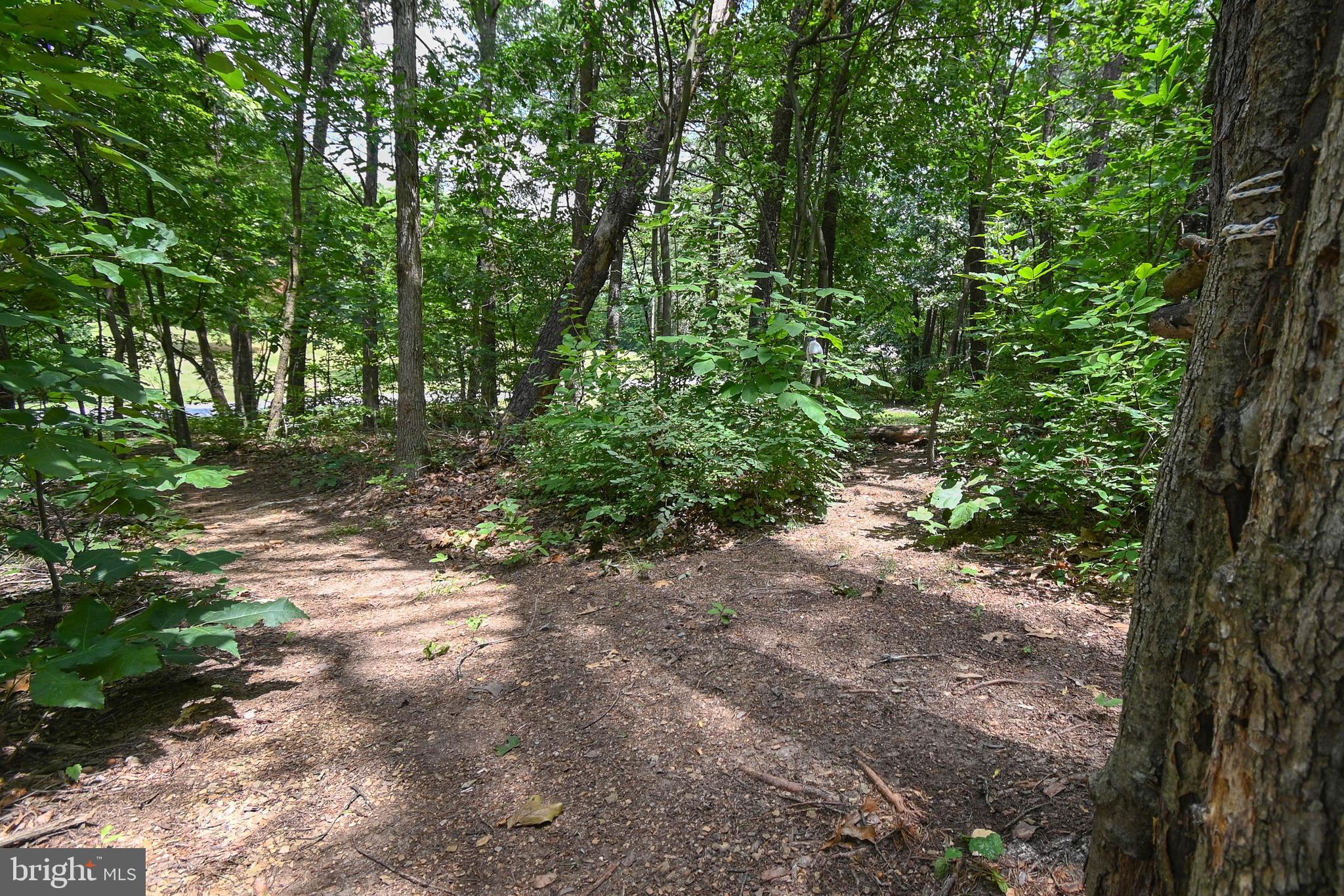 43 Floral Ridge Circle Inwood, WV 25428 - Photo 41 of 47 Gallery Image 41