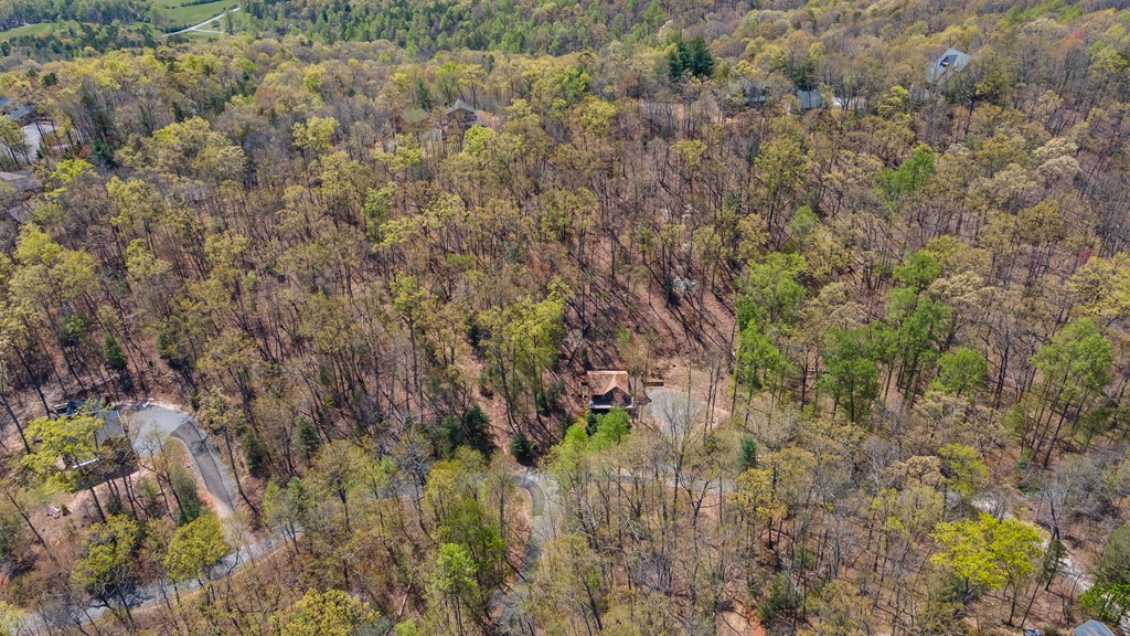 455 Shepherds Walk Morganton, GA 30560 - Photo 44 of 46 Gallery Image 44