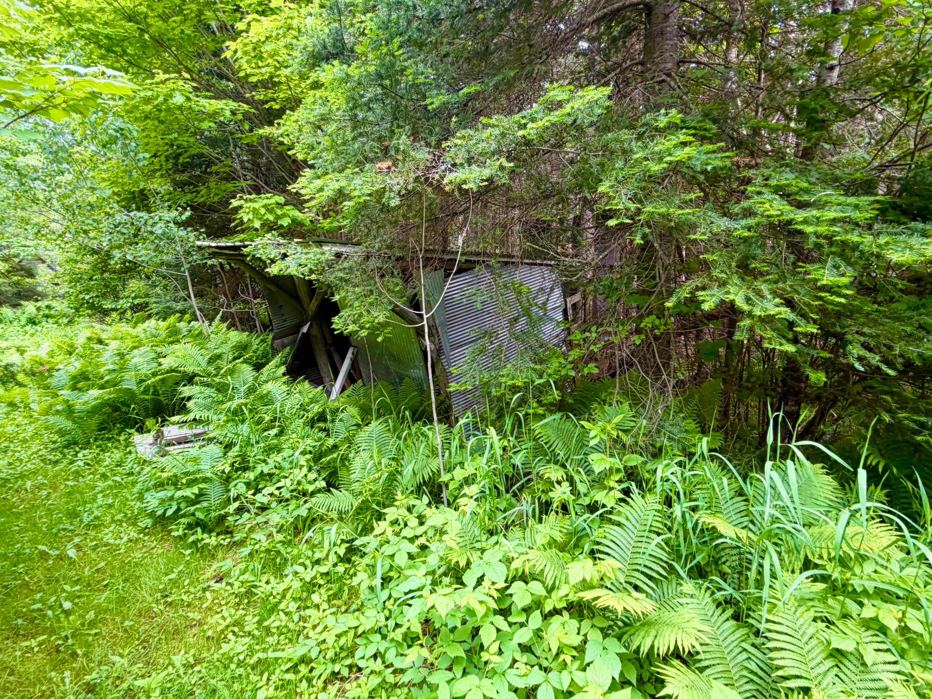 7726 South Forrest Side Road Brimley, MI 49715 - Photo 47 of 54 Gallery Image 47